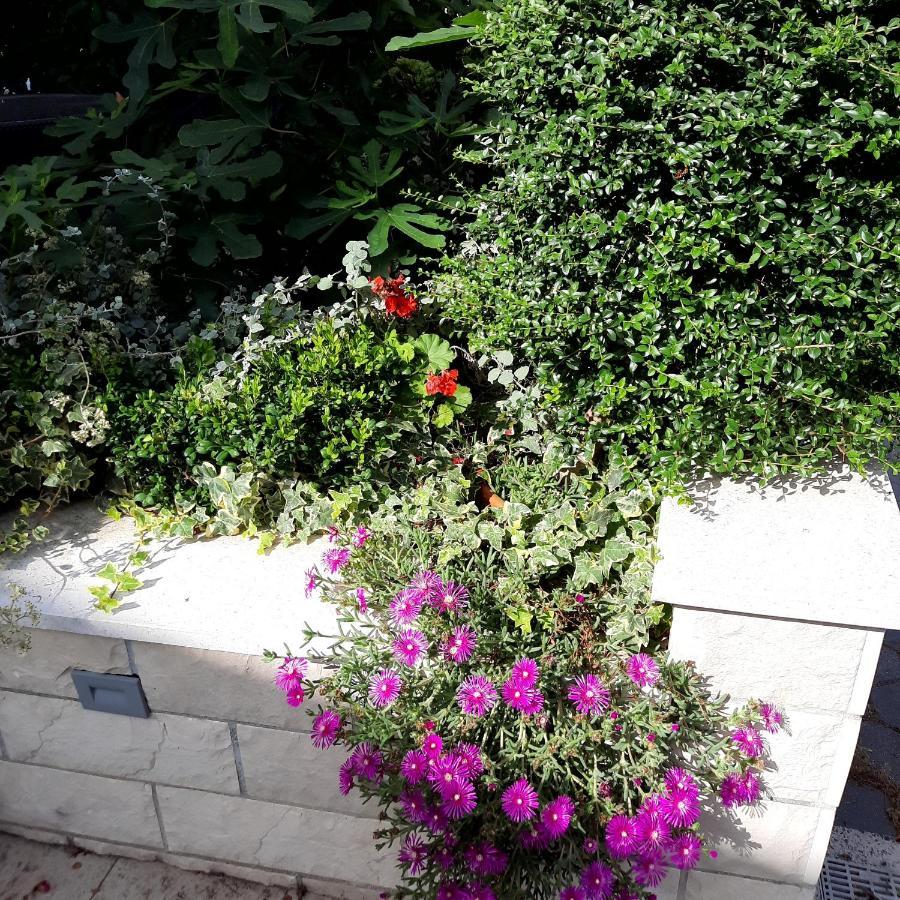Apartament Sweet Blue Baška Voda Zewnętrze zdjęcie