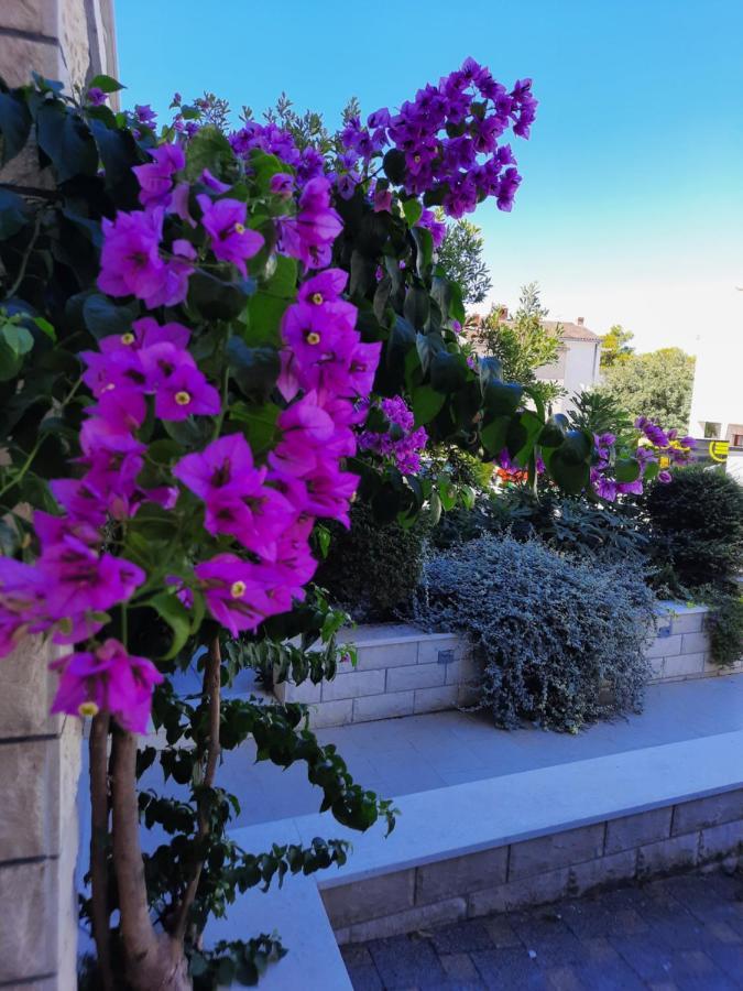 Apartament Sweet Blue Baška Voda Zewnętrze zdjęcie